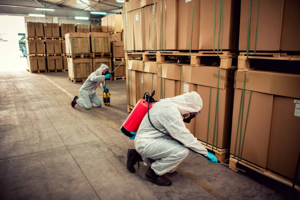 Best Wildlife Control Services  in Franklinville, NC