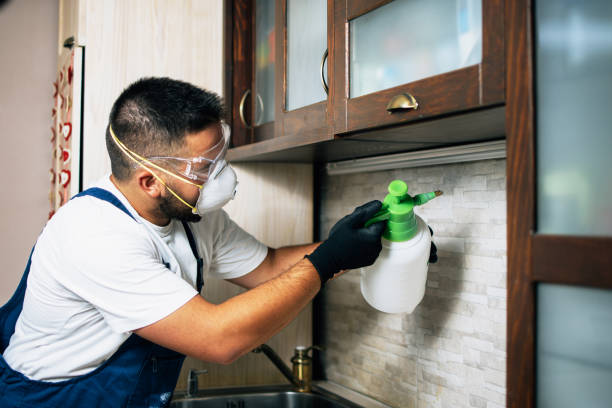 Best Insect Control  in Franklinville, NC