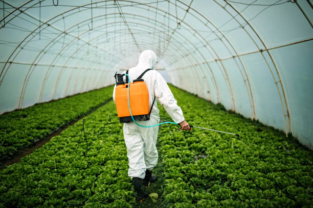 Best Pest Control for Businesses  in Franklinville, NC