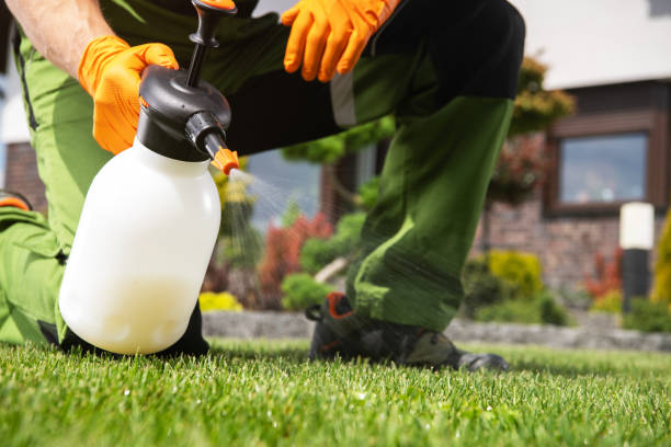 Best Emergency Pest Control  in Franklinville, NC