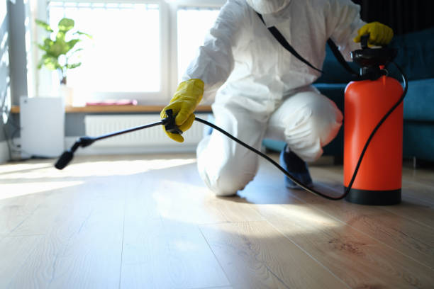 Best Residential Pest Control  in Franklinville, NC