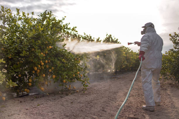 Best Pest Removal Services  in Franklinville, NC