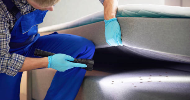 Best Mosquito Control Services  in Franklinville, NC