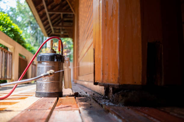 Pest Prevention Services in Franklinville, NC
