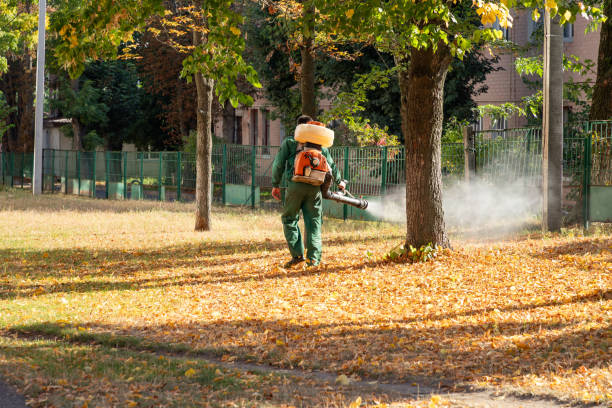  Franklinville, NC Pest Control Pros