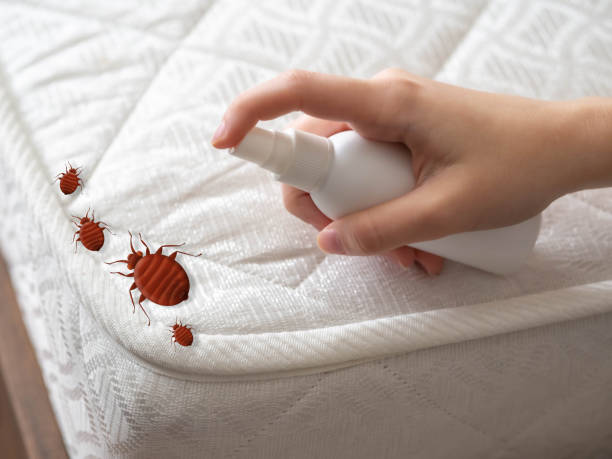 Professional Pest Control in Franklinville, NC