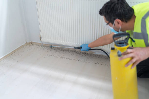 Best Exterminator Services  in Franklinville, NC