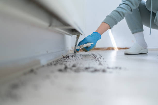 Best Pest Inspection Near Me  in Franklinville, NC