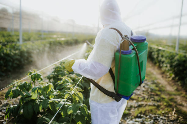 Best Best Pest Control Companies  in Franklinville, NC